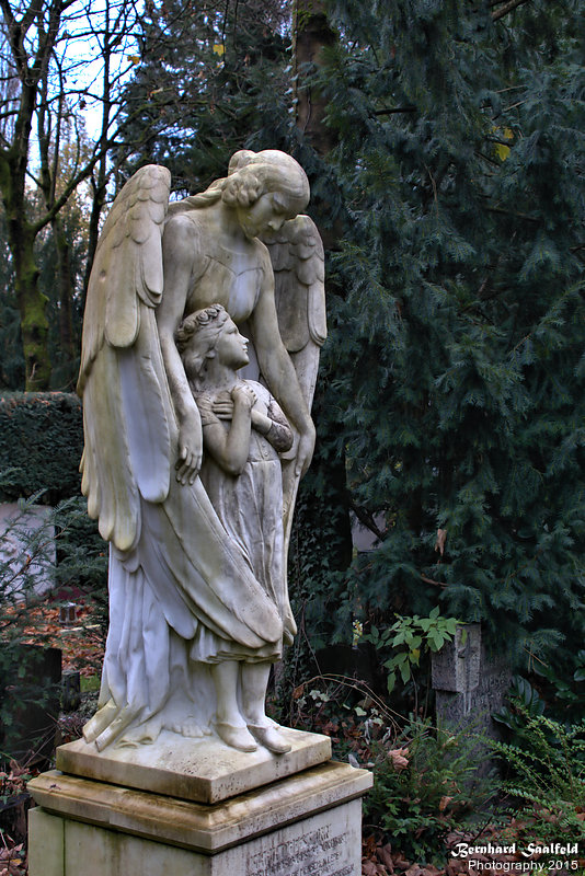 Bernhard Saalfeld - DSC00641 -1